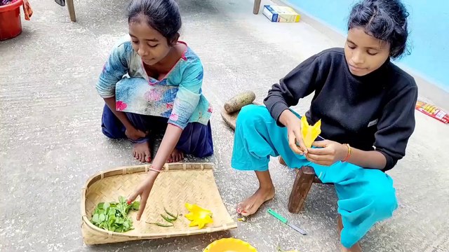 आज हमारे चूल्हे का उदघाटन है | desi village girl vlog indian | gaon ki ladki ka vlog | Simple village girl vlog