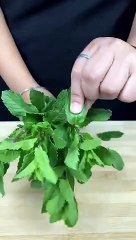 Refreshing Masala Thumps up  Cooking _food _cooking _refreshingdrink