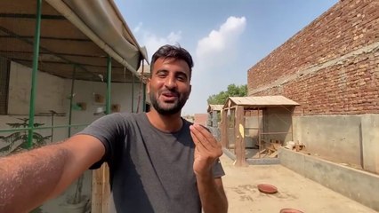 First Time Bht Sari New Fishes Le Kr Ae