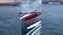 İstanbul'da Kadıköy-Beşiktaş vapurunda yolcu denize düştü: Kurtarma operasyonu!