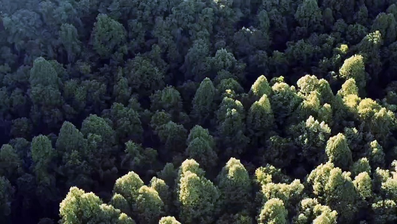 Aerial video Footage of car on Mountain road Stock video.