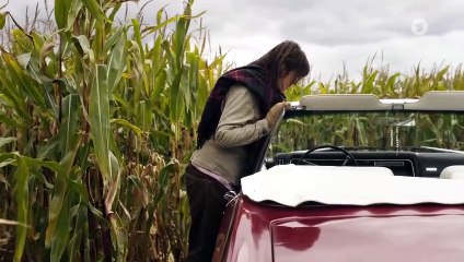 Die Büffel sind los (Ganzer Film Deutsch 2016)