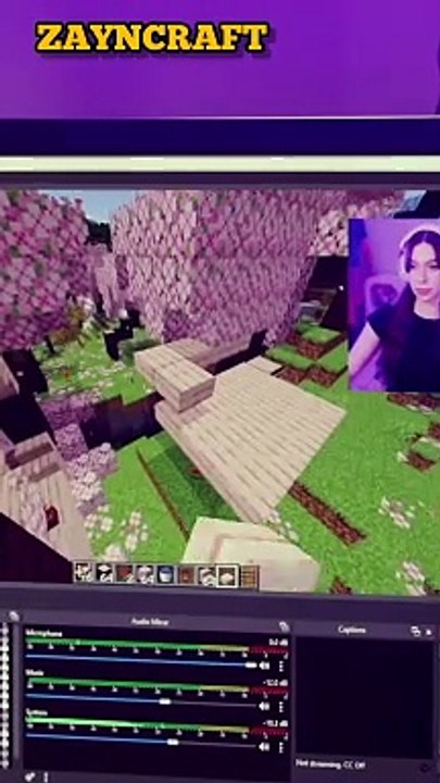 MINECRAFT GAME CLIPS #11