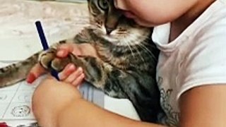 A child is teaching a cat to write | Cute Cat Videos | Beautiful Kitten #shorts