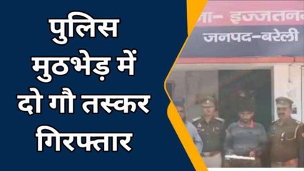 Download Video: बरेली: पुलिस मुठभेड़ में दो गौ तस्कर गिरफ्तार,एक बदमाश के पैर में लगी गोली