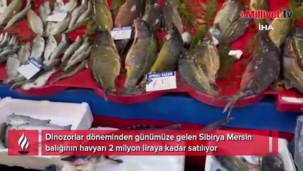 Dinozorlar döneminden günümüze gelen bu balığın havyarı 2 milyon lira