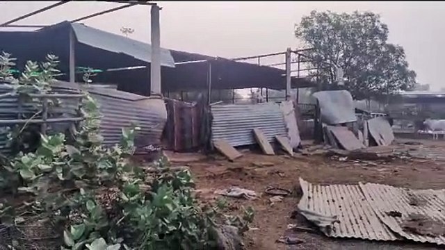 भूसा घोटाला: एक ही फर्म का टेंडर मान्य, 03.11 करोड़ का दे दिया भूसा सप्लाई का ठेका