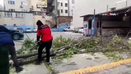İzmit'te şiddetli fırtına sonucu devrilen ağaç altında kalmaktan son anda kurtulan vatandaşın anları güvenlik kamerasında