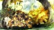Molly Moo Cow And Rip Van Winkle (1935) | Burt Gillett And Tom Palmer | Rainbow Parade Cartoon | 2d Old Animation Cartoon short Film