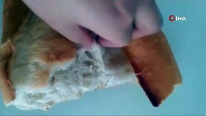 Görüntü Elazığ'da kayda geçti: Ekmeğin içinden çıktı, neye uğradığını şaşırdı!