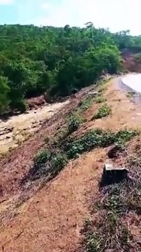 VÍDEO: motorista morre carbonizado após carreta capotar na BR-242