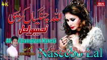 Allah Changiyan Karesi - Naseebo Lal - New Punjabi Sad Songs 2023 -  Saraiki Song