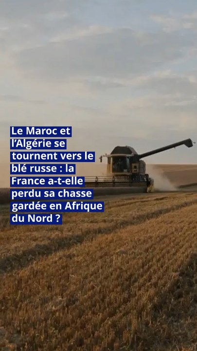 Le Maroc et l’Algérie se tournent vers le blé russe : la France a-t-elle perdu sa chasse gardée en Afrique du Nord ?