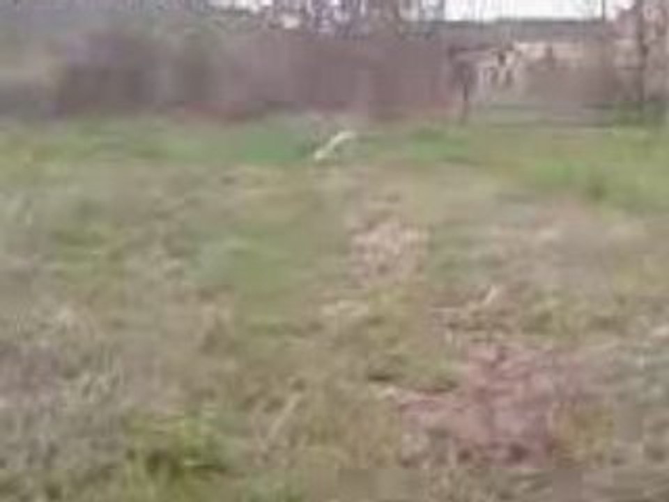 Vidéo0053