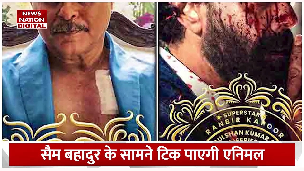 Animal VS Sam Bahadur : बॉक्स ऑफिस पर किसकी होगी ज्यादा कमाई