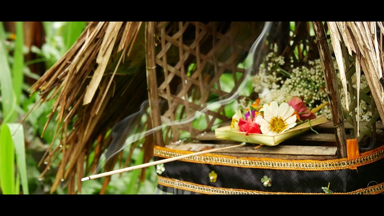 cinematic video alam