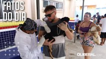 Campanha de vacinação protege cães e gatos contra raiva em Belém; saiba onde levar os pets