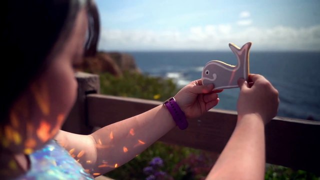 INVRAISEMBLANCES - Les baleines bleues (une espèce menacée)