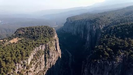 Peruvian Woods - Dave Osorio