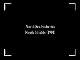 North Sea Fisheries, North Shields | movie | 1901 | Official Featurette