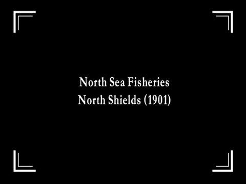 North Sea Fisheries, North Shields | movie | 1901 | Official Featurette