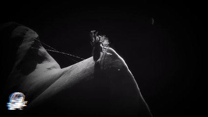 CORDÓN UMBILICAL (Historias De Terror)