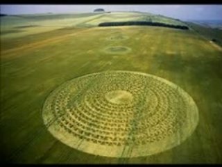 Agroglyphs / Crop Circles