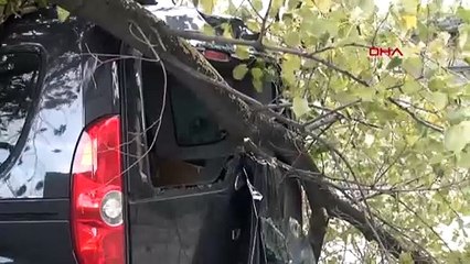 Bursa'da Lodosun Etkisiyle İnşaat Duvarı ve Ağaç Devrildi