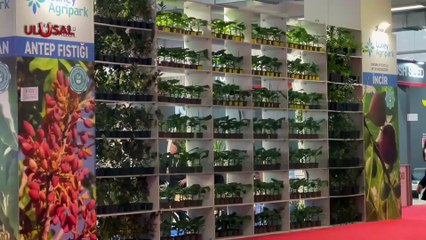 Dünyanın En Büyük Örtü Altı Tarım Fuarı