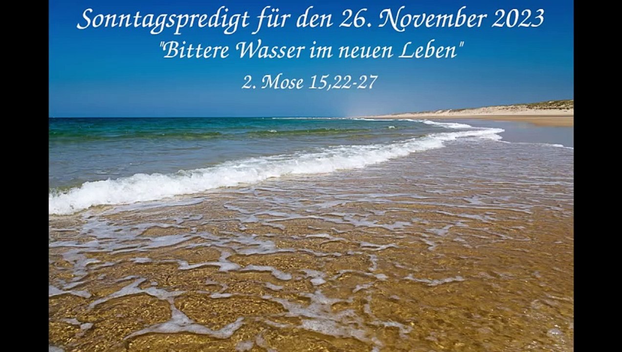 Sonntagspredigt für den 26. November 2023