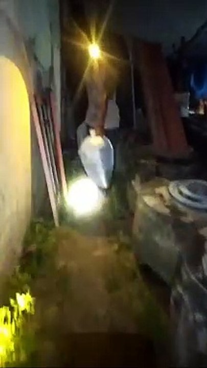 Kegiatan panen, sortir, packing, dan delivery bibit lele lebih aman pada malam hari