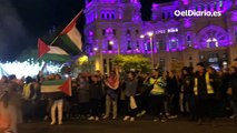 Feministas por Palestina en la manifestación del 25N en Madrid