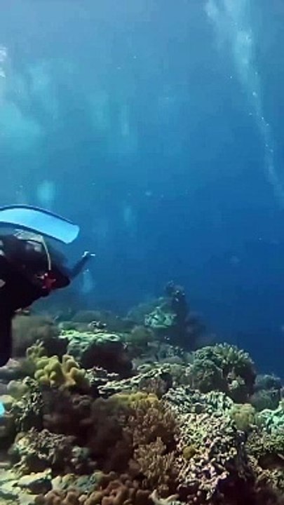 7.2 şiddetindeki deprem okyanus zemininde nasıl gözükür? Endonezya açıklarında gerçekleşen dalma-batma depremi ve sonu malum tsunami