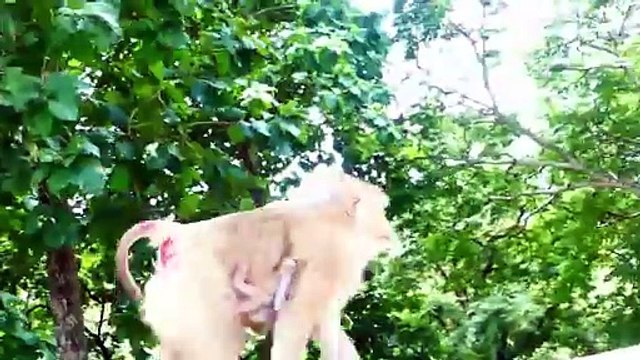 Cutie Baby With Tight Face...!, Moly Prohibits Baby Money Not Going Ahead