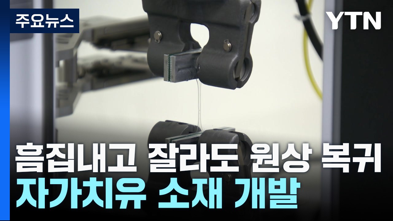 [과학 한스푼] 흠집내고 잘라도 원상 복귀...자가치유 소재 개발 / YTN