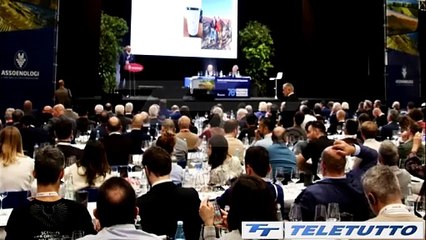 Video News - LOLLOBRIGIDA: "DIFESA DEL NOSTRO VINO"