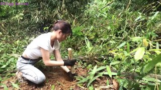Full 5days; Girl building bamboo house alone in the forest,Find food in the stream_ MsYang Survival