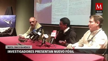 Descubren fósil de nuevo espécimen de Mosasaurio en Nuevo León