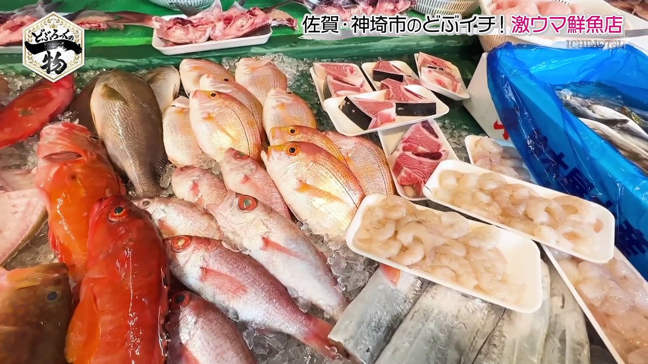 どぶろっくの一物 鬼教官と佐賀の伝統的な乗り物ハンギー対決！