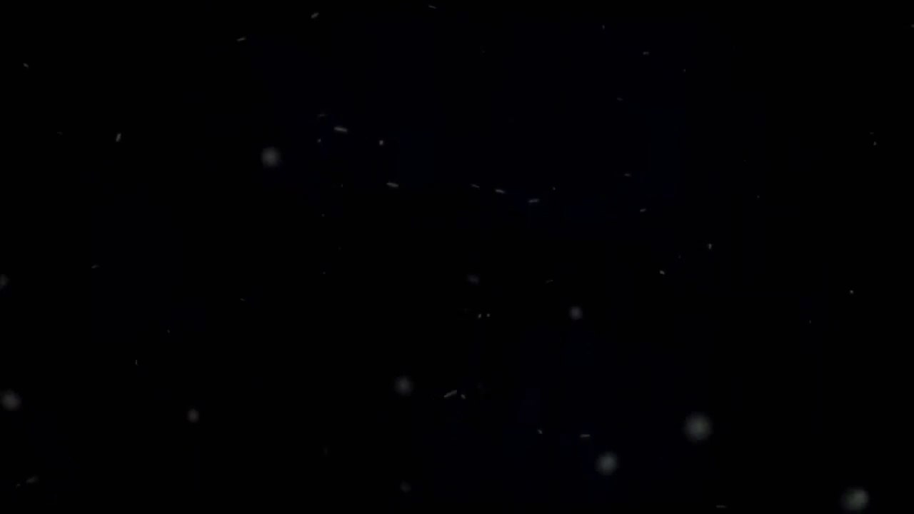 [2011 Stealh Reloaded Softshell - Emerson] Présentation | Review | Airsoft FR - EN subs