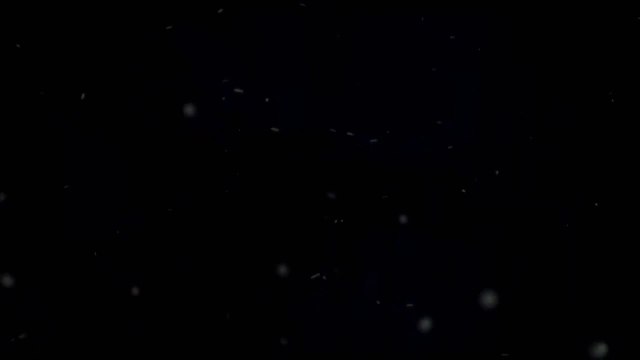 [2011 Stealh Reloaded Softshell - Emerson] Présentation | Review | Airsoft FR - EN subs