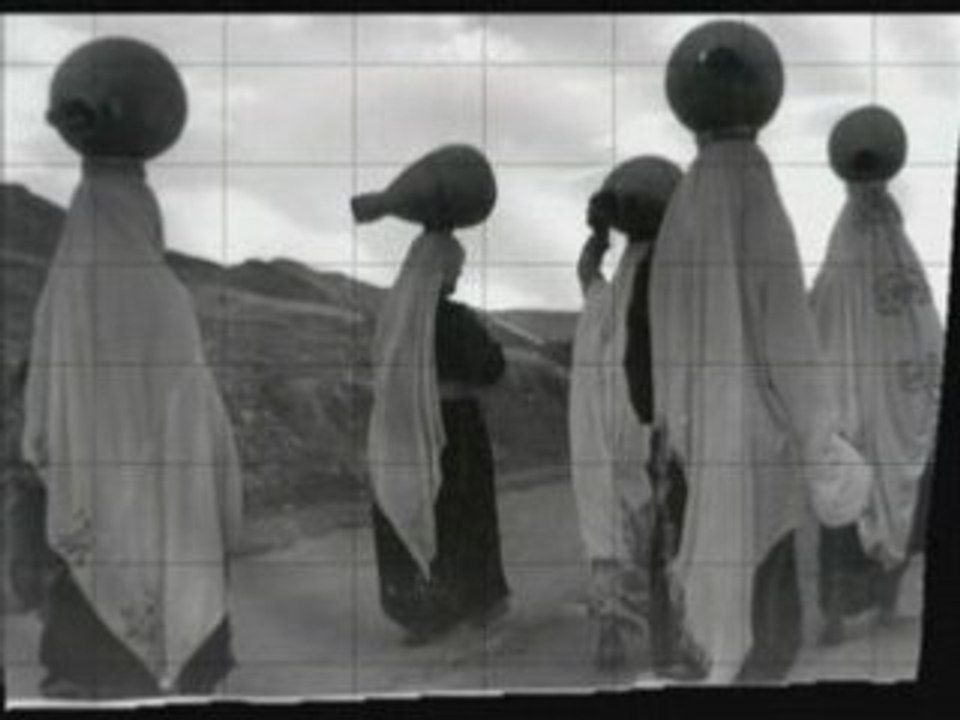 Cette terre est la leur - Hannah Mermelstein