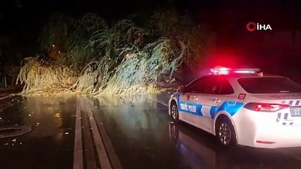 Edirne’de etkili olan sağanak ve fırtına ağaç devirdi, yol trafiğe kapandı