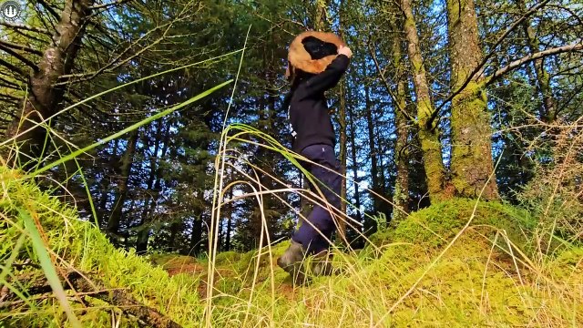 STEAK FRIES, incredible jucy Recipie you will fall in love with ( ASMR cooking)