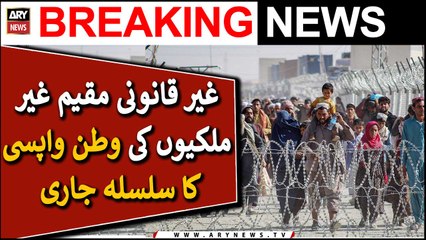 Repatriation of illegal foreigners continues