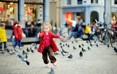 Chasing Music | English Music | English Song