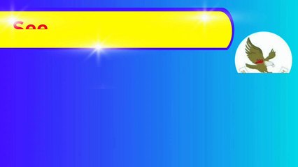 SEE EAGLE ECO WASH DISH WASH PASTE #ecowash