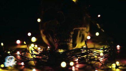 La Calavera Del Presagio (Relatos De Terror)