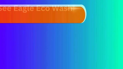 See Eagle Eco Wash Fool & Toilet Cleaner