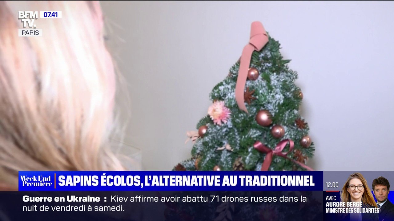 Noël: l'alternative des sapins écologiques